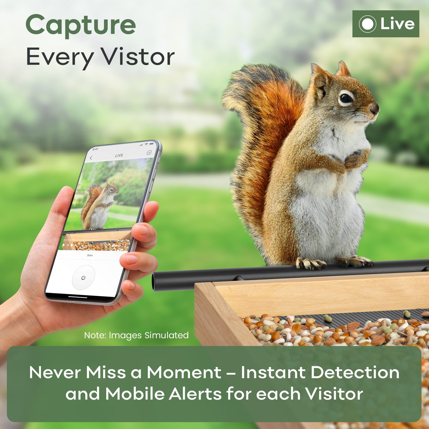 Smart Bird Feeder Camera with AI Bird Identification