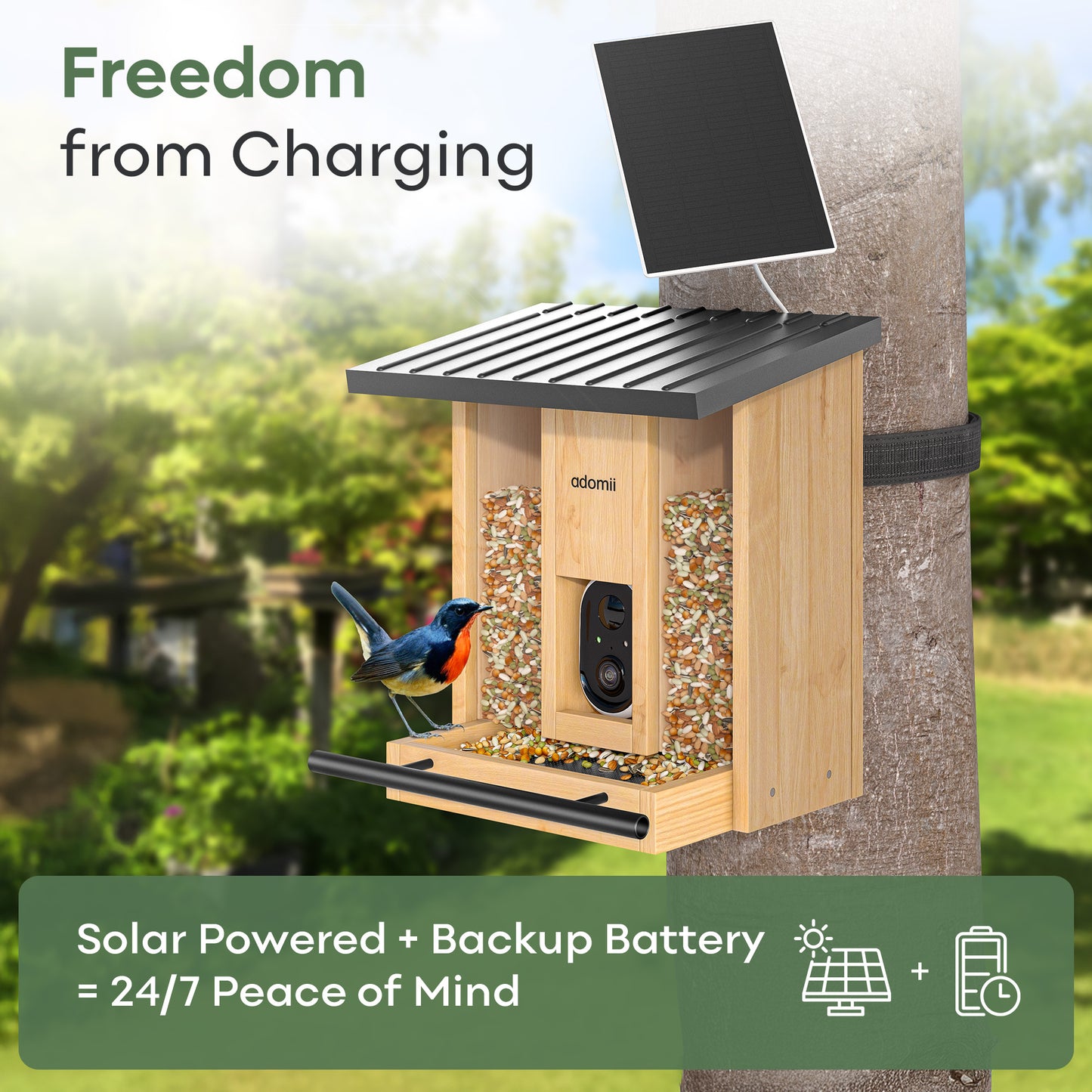 Smart Bird Feeder Camera with AI Bird Identification