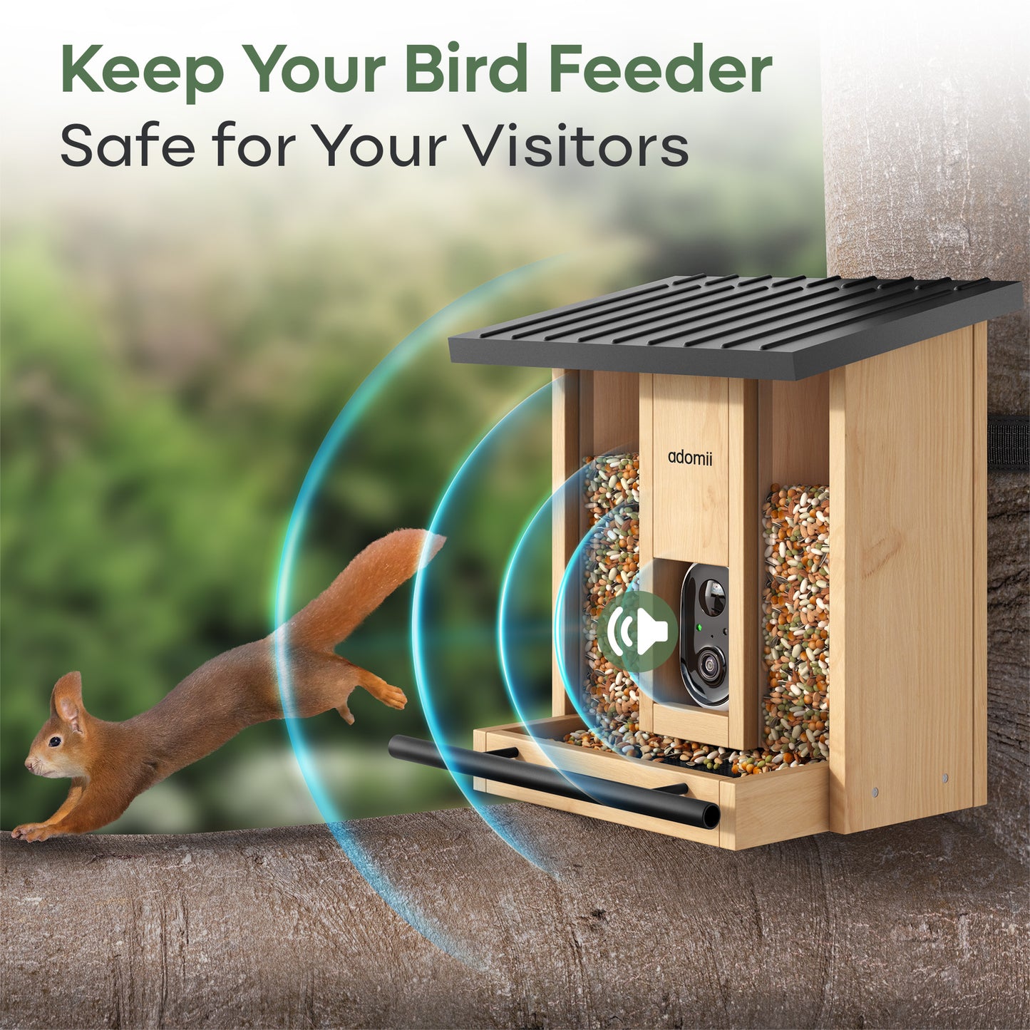Smart Bird Feeder Camera with AI Bird Identification