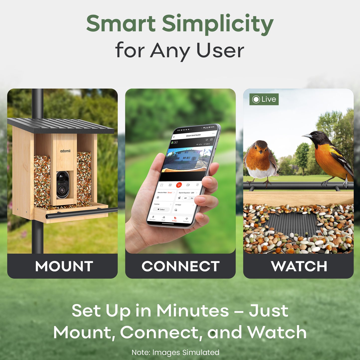 Smart Bird Feeder Camera with AI Bird Identification