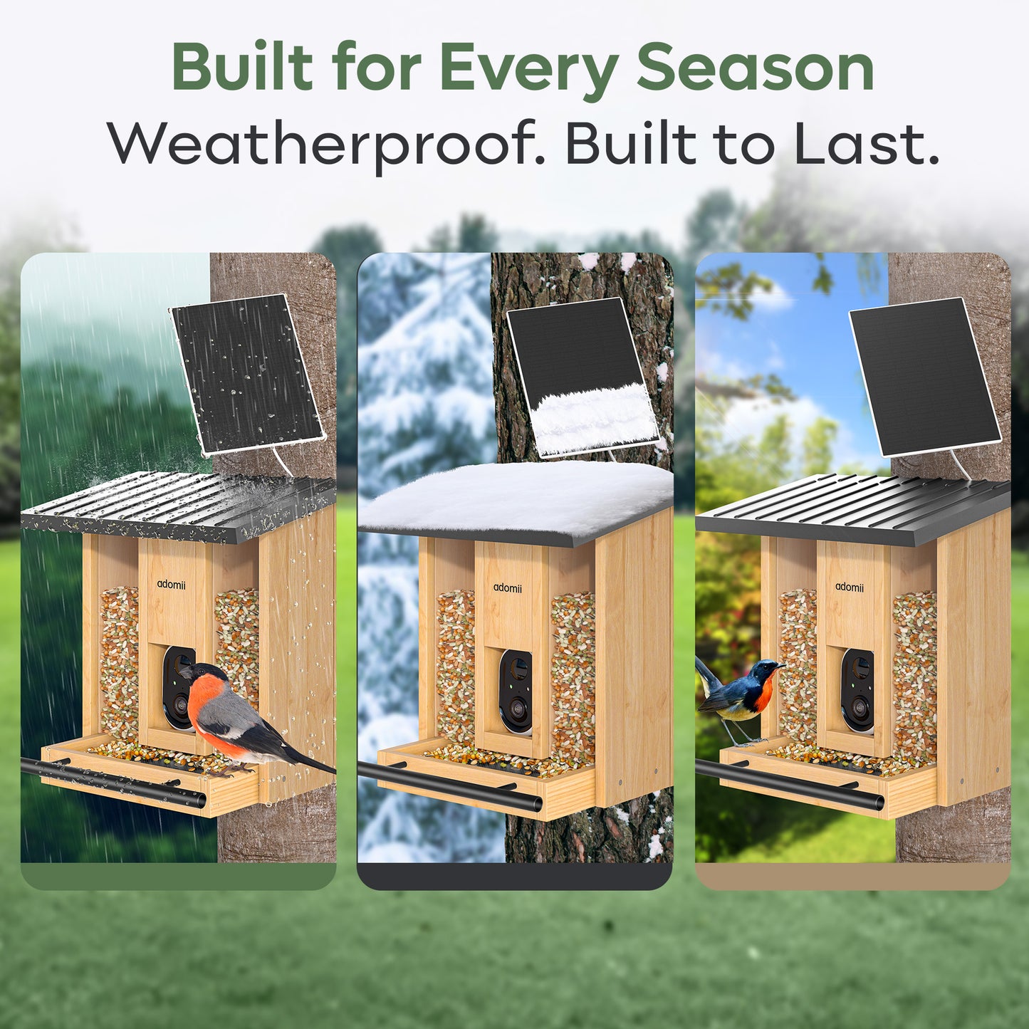 Smart Bird Feeder Camera with AI Bird Identification