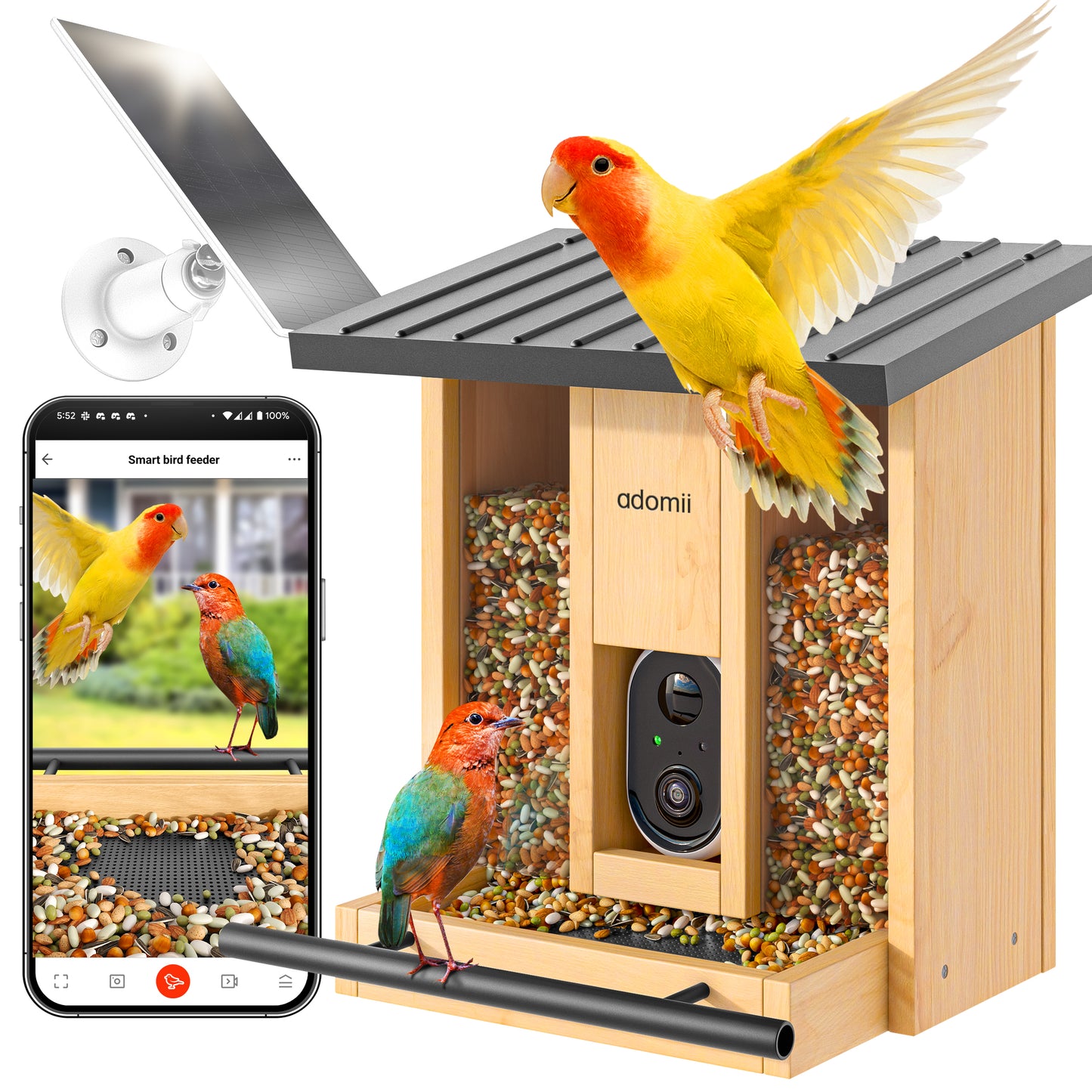 Smart Bird Feeder Camera with AI Bird Identification