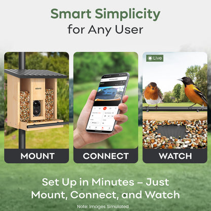 Smart Bird Feeder Camera with AI Bird Identification